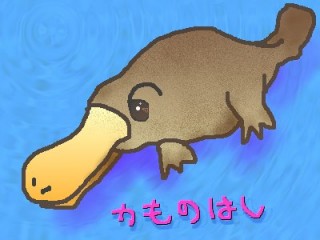 ̂͂